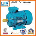 2014 TOPS MS series Three Phase Induction Motor